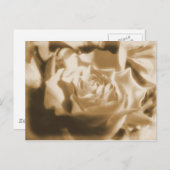 Alte Rose Postkarte (Vorne/Hinten)