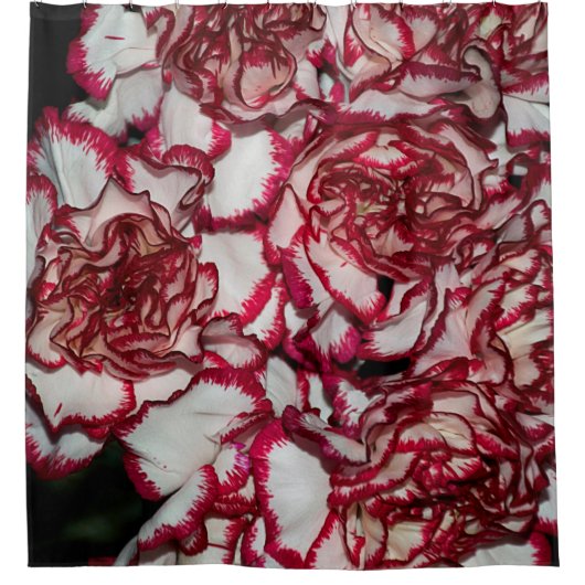 Alte Rose, Rosa, Hintergrund und Textur mit Leathe Duschvorhang (Vorderseite)