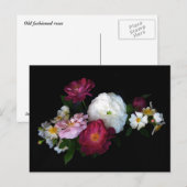 Alte Rosen Postkarte (Vorne/Hinten)