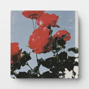 Alte rote Rosen gegen einen blauen Himmel Fotoplatte