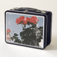 Alte rote Rosen gegen einen blauen Himmel