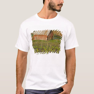 Alte rote Scheune am Rand von Zinfandel-Weinberg T-Shirt