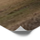 Alte rote Scheune Poster (Ecke)