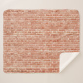 Alte, rote Ziegelmauer. Sherpadecke (Vorderseite (Horizontal))