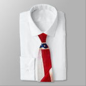 Alte Ruhm-amerikanische Flagge Krawatte (Gebunden)