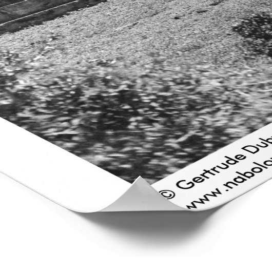 Alte Ruinen: Tor nach Labna, Yucatan, Mexiko Poster (Ecke)