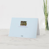 ALTE, RUSTIERTE LANDWIRTSCHAFTSPFLANZE MIT BLUME KARTE (Rückseite)