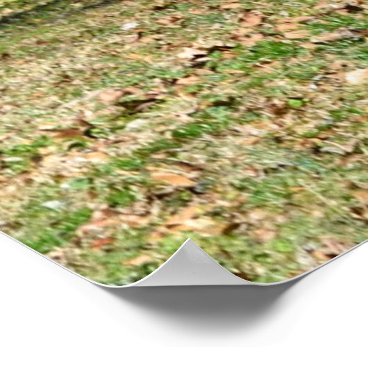 Alte Rustikale Scheune Shed Poster (Ecke)