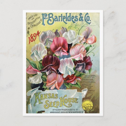 Alte Samenwerbung Postkarte (Vorderseite)