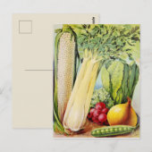 Alte Samenwerbung Postkarte (Vorne/Hinten)