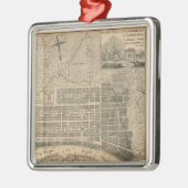 Alte Savanne-Karten-Verzierung Silbernes Ornament (Links)