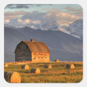Alte Scheune gerahmt durch Heuballen und drastisch Quadratischer Aufkleber