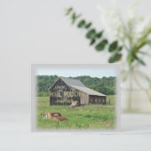 Alte Scheune Mail Pouch Tabakwerbung Postkarte (Stehend Vorderseite)