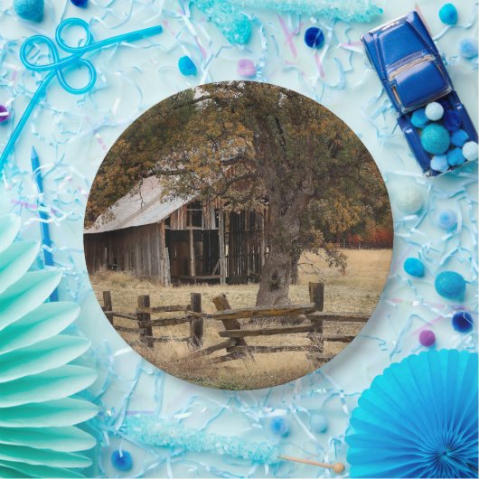 ALTE SCHEUNE PAPPTELLER (Party)