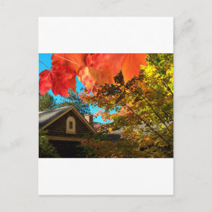 Alte Scheunen-Foliage-Ansichtskarte Postkarte