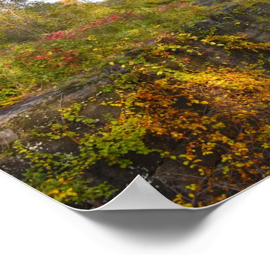 Alte Schleuse 19 des Erie-Kanals, New York Poster (Ecke)