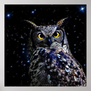 Alte Schüssel und Sterne Poster