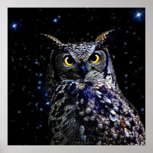 Alte Schüssel und Sterne Poster (Vorne)