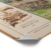 Alte schwedische Schulwandkarte - Bienen Poster (Ecke)