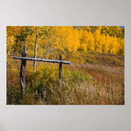 Alte Skipiste auf Grand Mesa Poster