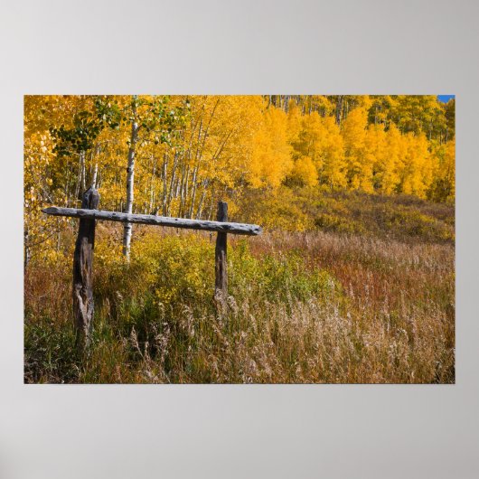 Alte Skipiste auf Grand Mesa Poster (Vorne)