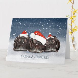 Alte Sleepy aber Hunger Hippos Weihnachtskarte! Karte