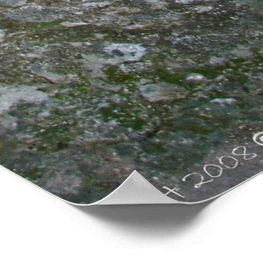 Alte spanische Tür Poster (Ecke)