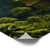 Alte Stadt im Dschungel verloren Poster (Ecke)