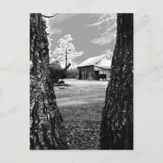 Alte Stallhalle Land Schwarz-Weiß-Foto Postkarte (Vorderseite)