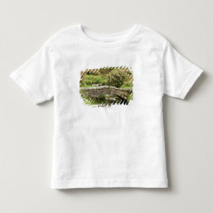 Alte Steinbrücke über einem Strom in Dartmoor Park Kleinkind T-shirt