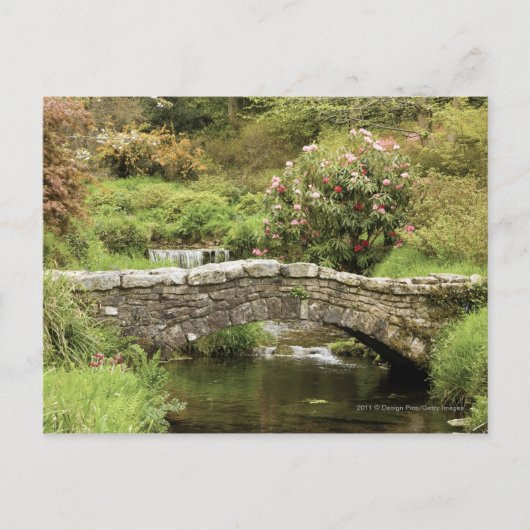 Alte Steinbrücke über einem Strom in Dartmoor Park Postkarte (Vorderseite)