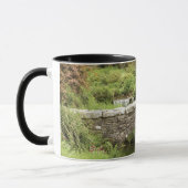 Alte Steinbrücke über einem Strom in Dartmoor Park Tasse (Links)