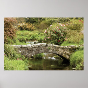 Alte Steinbrücke über einen Fluss im Dartmoor Park Poster