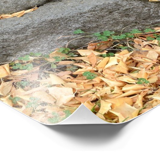 Alte Steinkreuze (Khachkars) in Armenien Fotodruck (Ecke)