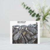 Alte Steinmauern in Irland Postkarte (Stehend Vorderseite)