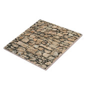 Alte Steinwandbeschaffenheit Fliese (Seite)