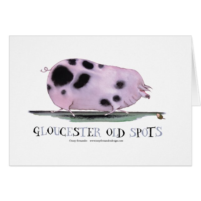 alte Stellen Gloucesters, tony fernandes (Vorderseite (Horizontal))