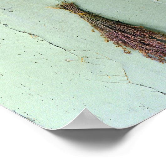 Alte Strohhasen Poster (Ecke)