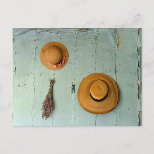 Alte Strohhasen Postkarte (Vorderseite)