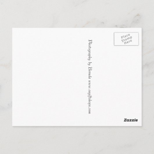 Alte Tabakfarm Postkarte (Rückseite)