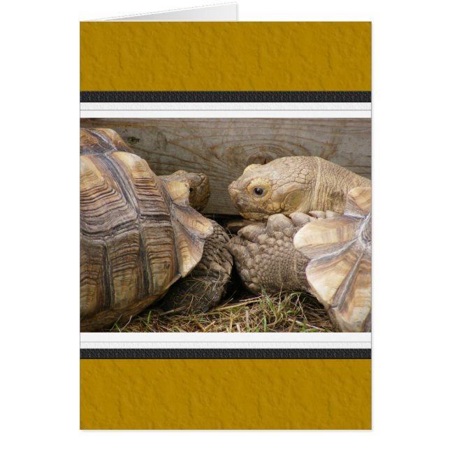 Alte Tratsch (Vorne)