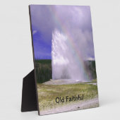 Alte Treue im Yellowstone Nationalpark Fotoplatte (Seite)