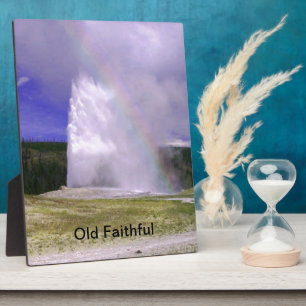 Alte Treue im Yellowstone Nationalpark Fotoplatte