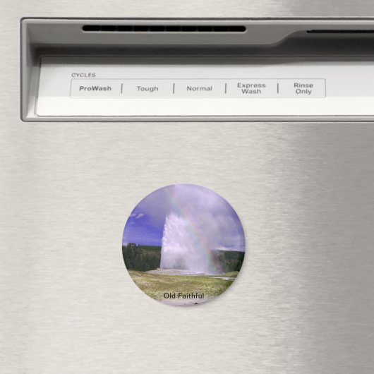 Alte Treue im Yellowstone Nationalpark Magnet (In Situ (Geschirrspüler))