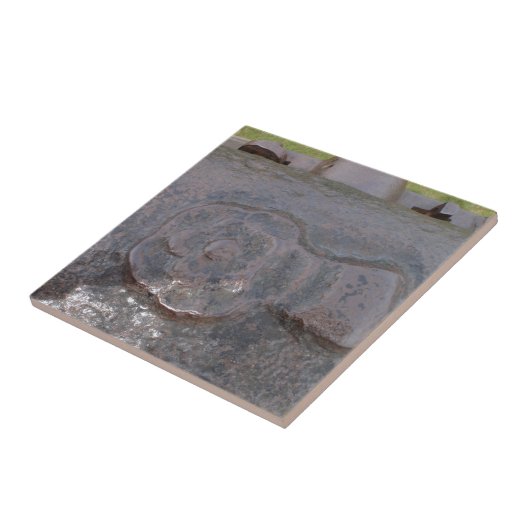 Alte Tudor Rose Fliese (Seite)