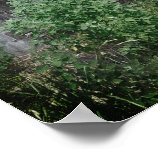 Alte Tür Poster (Ecke)