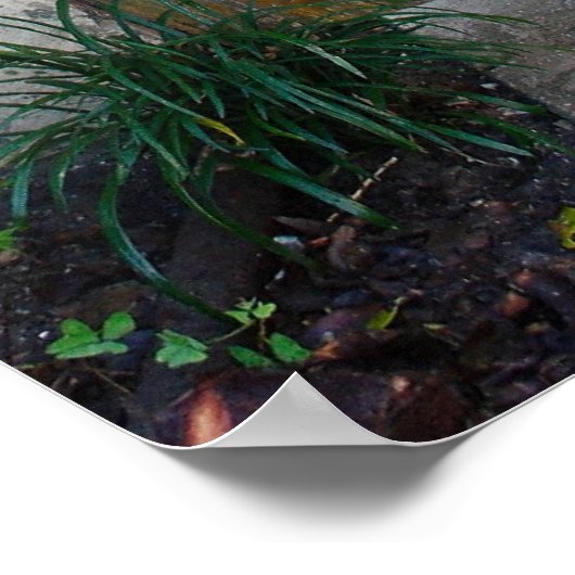 Alte Tür Poster (Ecke)