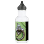 Alte Tür Trinkflasche (Rechts)