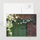 Alte Tür und Rose Postkarte (Vorne/Hinten)