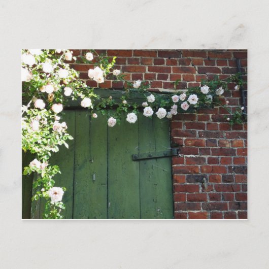 Alte Tür und Rose Postkarte (Vorderseite)